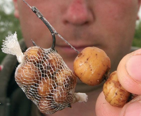 Fishing 4 - mihai-ioan-sebestyen-rodpod1.jpg